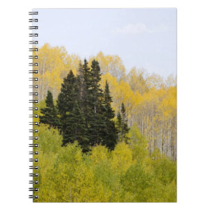 USA, Colorado, Gunnison National Forest, along 2 Notebook