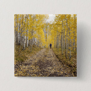 USA, Colorado, Gunnison National Forest near 15 Cm Square Badge