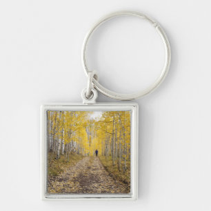 USA, Colorado, Gunnison National Forest near Key Ring