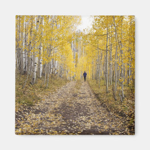 USA, Colorado, Gunnison National Forest near Magnet