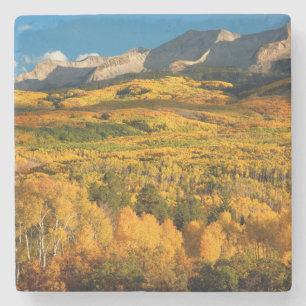 USA, Colorado, Gunnison National Forest Stone Coaster