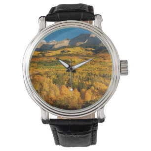USA, Colorado, Gunnison National Forest Watch