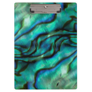 USA, Colorado, Lafayette. Abalone shell montage Clipboard