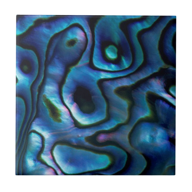 USA, Colorado, Lafayette. Abalone shell Tile (Front)