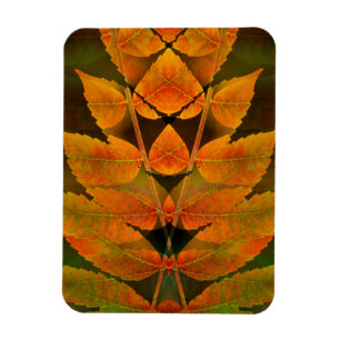 USA, Colorado, Lafayette. Autumn sumac montage Magnet
