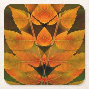USA, Colorado, Lafayette. Autumn sumac montage Square Paper Coaster
