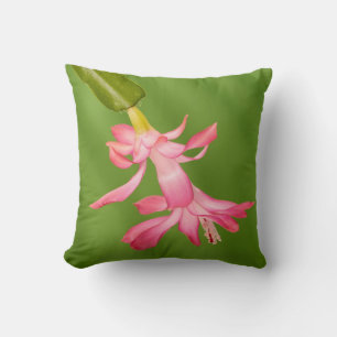 USA, Colorado, Lafayette. Christmas cactus Cushion