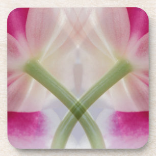 USA, Colorado, Lafayette. Orchid montage Coaster