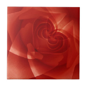 USA, Colorado, Lafayette. Red rose montage Tile