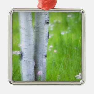 USA, Colorado, Lake City, Aspens and Metal Ornament