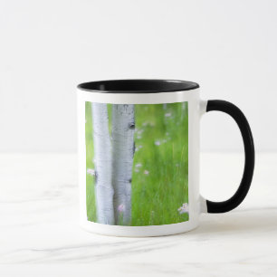 USA, Colorado, Lake City, Aspens and Mug