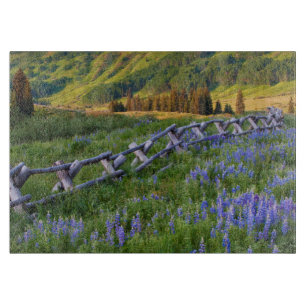 USA, Colorado. Lupines and split rail fence Cutting Board