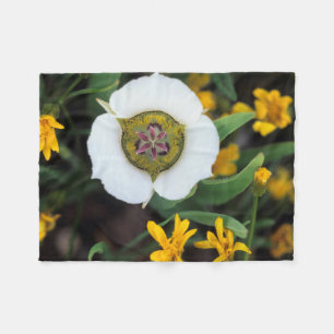 USA, Colorado. Mariposa tulip Fleece Blanket
