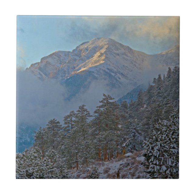 USA, Colorado, Mountains In Estes Park Tile (Front)