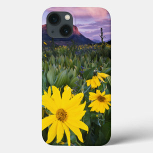 USA, Colorado, Mt. Crested Butte iPhone 13 Case