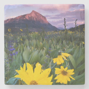 USA, Colorado, Mt. Crested Butte Stone Coaster