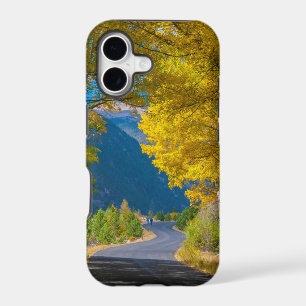 USA, Colorado. Road Flanked By Aspens