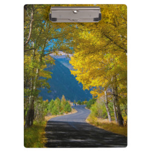 USA, Colorado. Road Flanked By Aspens Clipboard