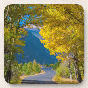 USA, Colorado. Road Flanked By Aspens Coaster