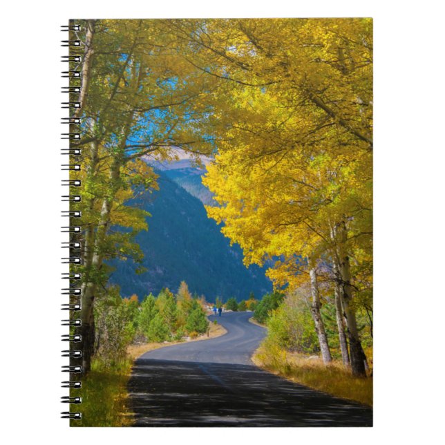 USA, Colorado. Road Flanked By Aspens Notebook (Front)