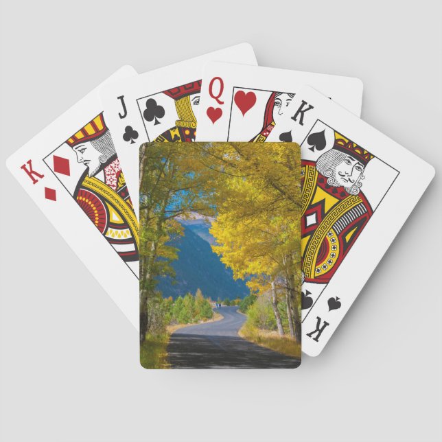 USA, Colorado. Road Flanked By Aspens Playing Cards (Back)