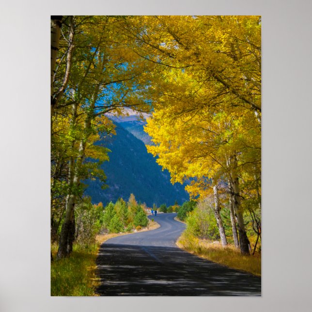 USA, Colorado. Road Flanked By Aspens Poster (Front)