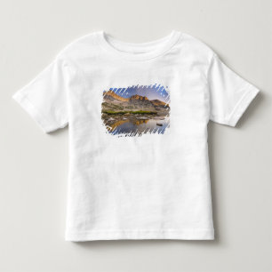 USA, Colorado, Rocky Mountain NP.  Storm clouds Toddler T-Shirt