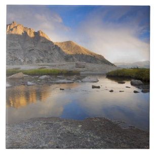 USA, Colorado, Rocky Mountain NP. Tile
