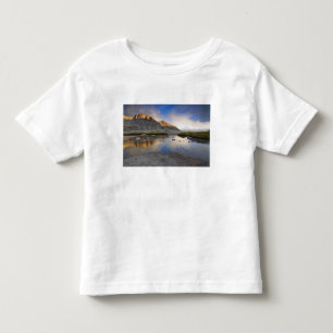 USA, Colorado, Rocky Mountain NP. Toddler T-Shirt