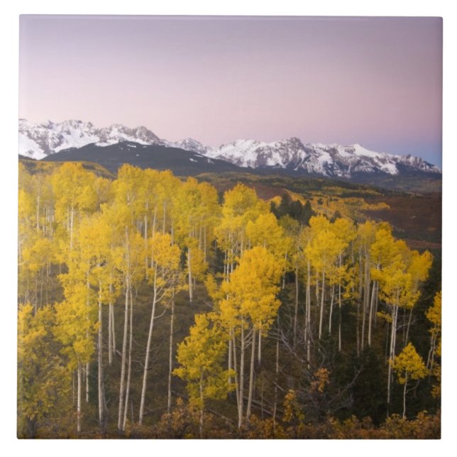 USA, Colorado, Rocky Mountains.  Dawn in the San Tile (Front)