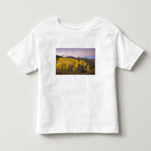 USA, Colorado, Rocky Mountains. Dawn in the San Toddler T-Shirt