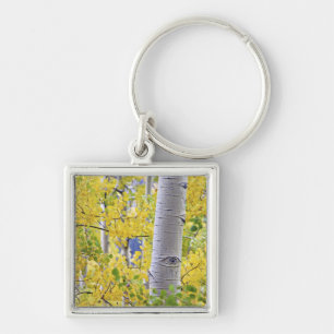 USA, Colorado, Rocky Mountains. Intimate aspen 2 Key Ring