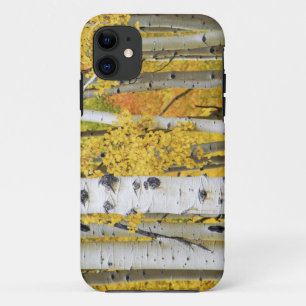 USA, Colorado, Rocky Mountains.  Intimate aspen iPhone 11 Case