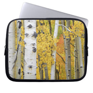 USA, Colorado, Rocky Mountains. Intimate aspen Laptop Sleeve