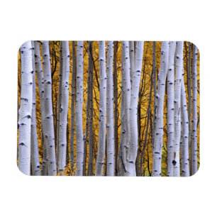 USA, Colorado, Rocky Mountains.  Intimate scene Magnet