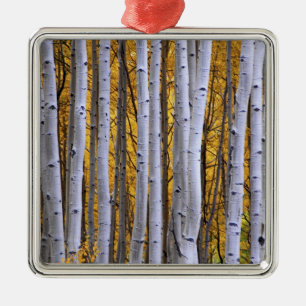 USA, Colorado, Rocky Mountains.  Intimate scene Metal Tree Decoration