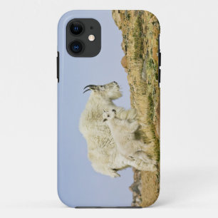 USA, Colorado, Rocky Mountains, Mount Evans, iPhone 11 Case