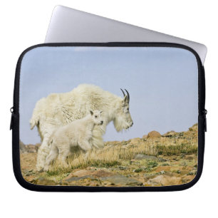 USA, Colorado, Rocky Mountains, Mount Evans, Laptop Sleeve