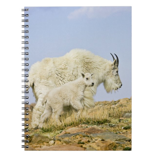 USA, Colorado, Rocky Mountains, Mount Evans, Notebook (Front)