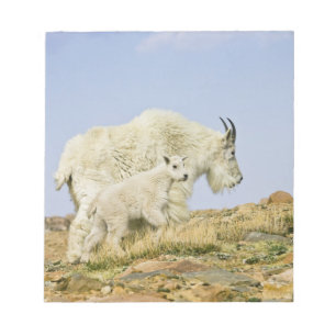USA, Colorado, Rocky Mountains, Mount Evans, Notepad