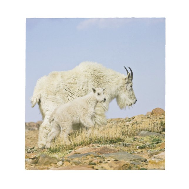 USA, Colorado, Rocky Mountains, Mount Evans, Notepad (Front)
