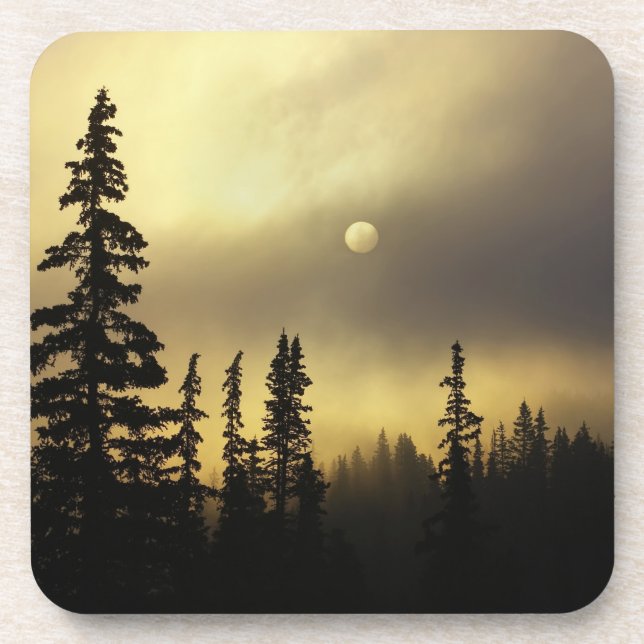 USA, Colorado, San Isabel National Forest. Coaster (Front)