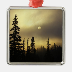USA, Colorado, San Isabel National Forest. Metal Ornament