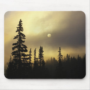 USA, Colorado, San Isabel National Forest. Mouse Pad