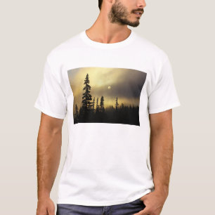 USA, Colorado, San Isabel National Forest. T-Shirt