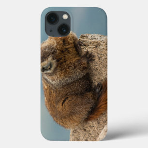 USA, Colorado, San Juan Mountains 2 iPhone 13 Case