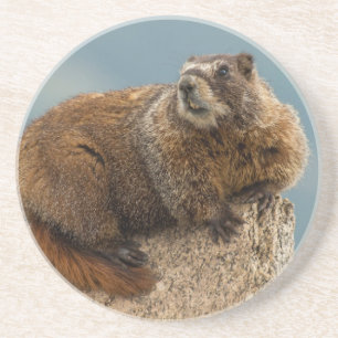 USA, Colorado, San Juan Mountains 2 Coaster