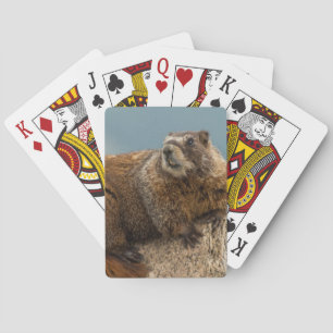 USA, Colorado, San Juan Mountains 2 Playing Cards
