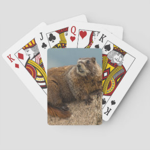 USA, Colorado, San Juan Mountains 2 Playing Cards