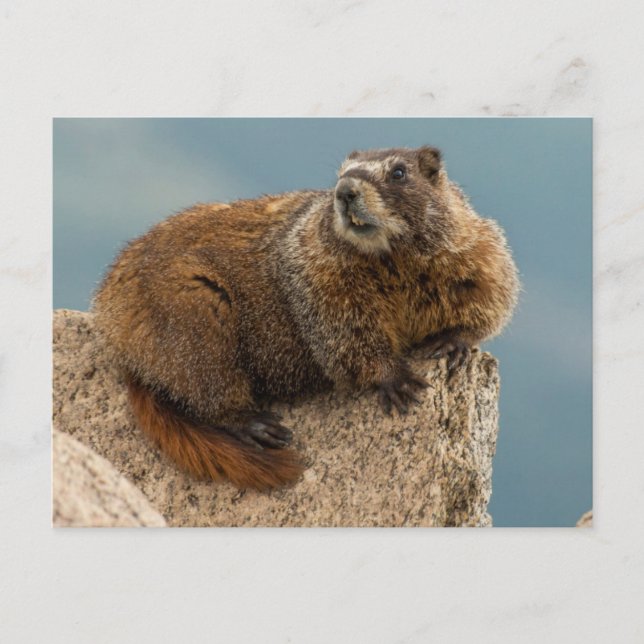 USA, Colorado, San Juan Mountains 2 Postcard (Front)